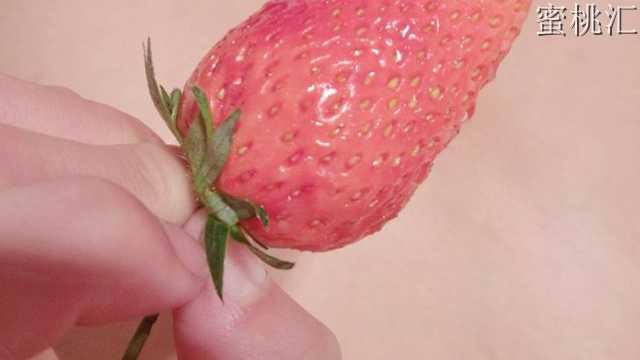 微博软萌萝莉小仙下面吃草莓